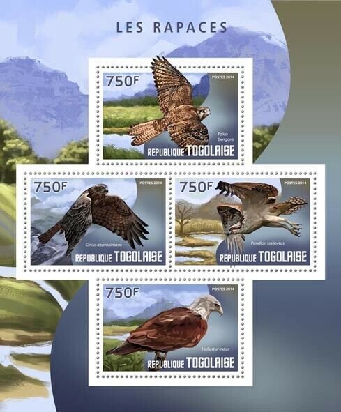 2014 TOGO MNH. BIRDS OF PREY   |  Y&T Code: 4004-4007  |  Michel Code: 6011-6014