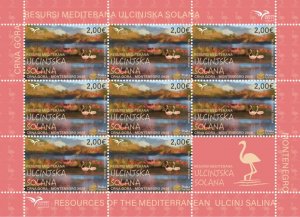 Montenegro 2025 Euromed Joint issue Ulcinj Salina Birds Sheetlet with label MNH