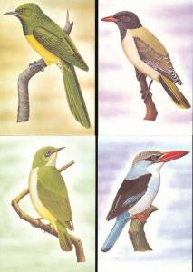 ST THOMAS & Prince Is 1983 BIRDS Wildlife Cards Maxi Unused (22 Items) [D328]