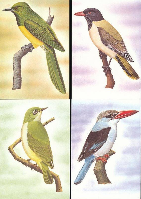 ST THOMAS & Prince Is 1983 BIRDS Wildlife Cards Maxi Unused (22 Items) [D328]