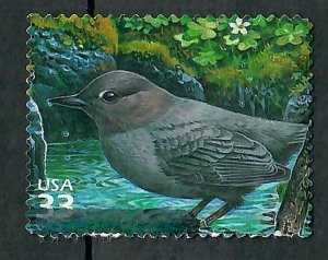 3378c Rain Forest Used Single