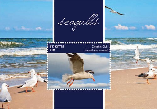 SAINT KITTS 2015 - SEAGULLS STAMP SOUVENIR SHEET (#2) MNH