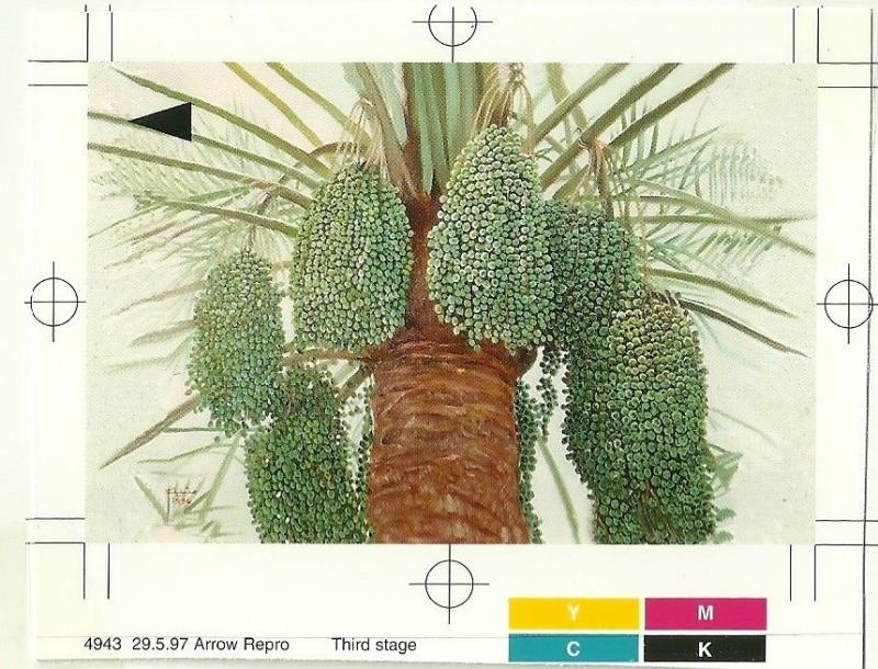 Bahrain  Proof Phone cards Date Palm 5 cards very rare - free ww register Mail 