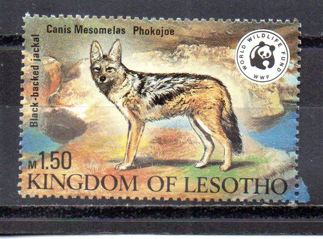 Lesotho 356 MNH stamp only