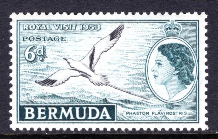 Bermuda 152 Bird MNH VF