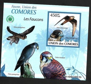 Comoro Islands 2009 - MNH - Souvenir Sheet - Scott #Unlisted