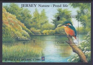 Jersey 995a Bird Souvenir Sheet MNH VF