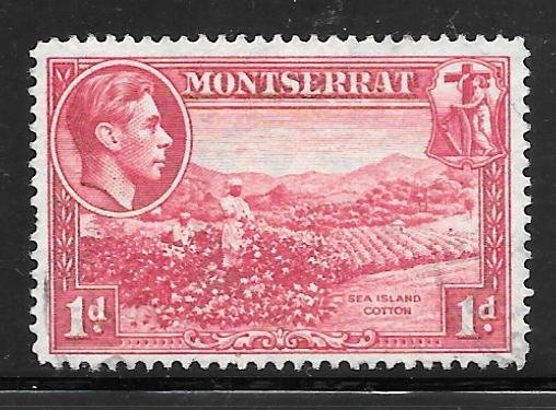 Montserrat 93: 1d Sea Island Cotton, used, F-VF