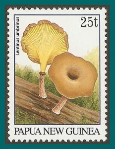 Papua New Guinea 1995 Fungi, 25t Dunedin, MNH 875a,SG765a