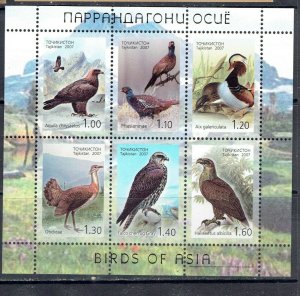 TAJIKISTAN - 2007 BIRDS OF TAJIKISTAN - SHEET OF SIX - SCOTT 316 - MNH