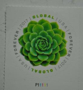 United States 2017 forever stamp Global succulent