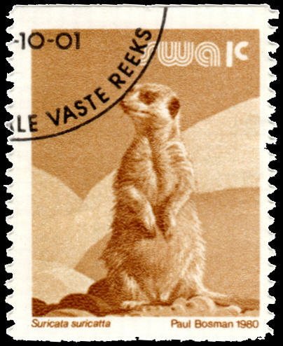 South West Africa 464 - Used - 1c Meerkat (1980) (cv $0.45)