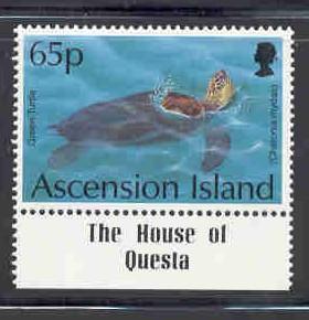 Ascension Sc 588 1994 65p Turtle stamp mint NH