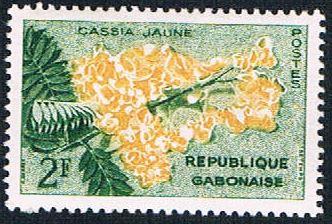 Gabon 156 MLH Yellow Cassia (BP6614)