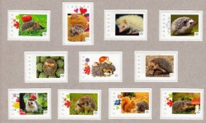 HEDGEHOG collection of 19 PICTURE POSTAGE-TM stamps MNH Canada 2014-2015