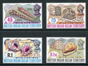 British Indian Ocean Territory SG58/61 1974 Shell Set Fresh U/M