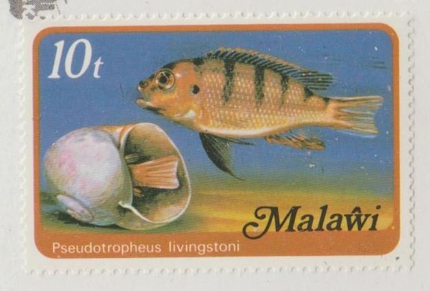 Malawi Scott #308 Stamp - Mint NH Single