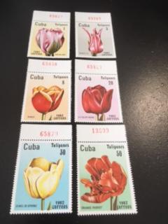 Cuba sc  2494-2499 MNH comp set Flower