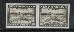 Newfoundland #193a Extra Fine Never Hinged Imperf Pair