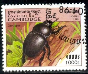 Insect, Dung Beetle (Geotrupes sp.), Cambodia SC#1744 Used