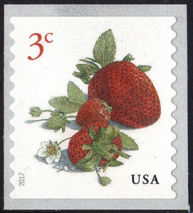 SC#5201 3¢  Strawberries Coil Single (2017) SA