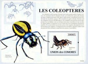 WD04/01/21-Comoros - Beetles - Stamp S/S - 3E-064