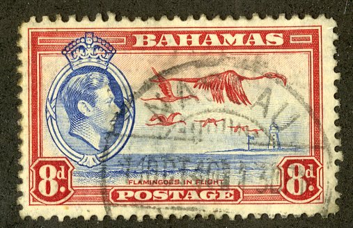 BAHAMAS 96 USED SCV $4.25 BIN $1.75 BIRDS