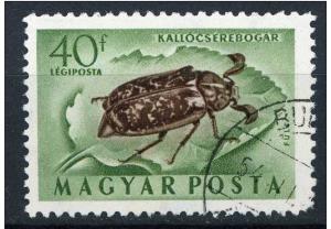 Hungary  1954 - Scott C137 - 40f, Beetle 
