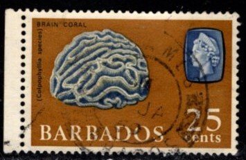 Barbados - #276 Brain Coral - Used