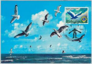 63493 -  BELGIUM - POSTAL HISTORY: MAXIMUM CARD 1977 -  LYONS Birds