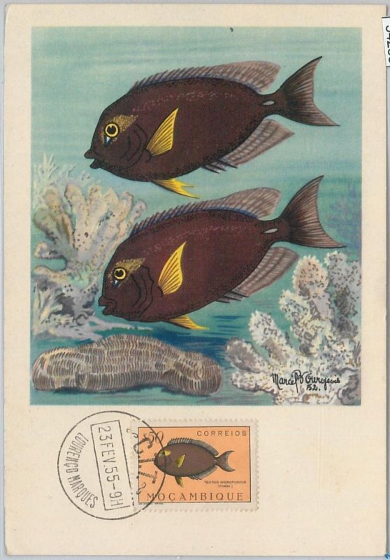 54283 - MOZAMBIQUE - POSTAL HISTORY - MAXIMUM CARD - 1955 FISH-