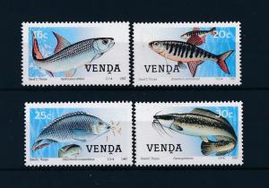 [46804] Venda 1987 Marine life Fish MNH