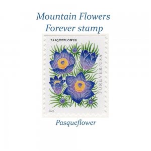 TEN Pasqueflower Unused Forever 60c stamps | Wedding Postage | Flower stamps