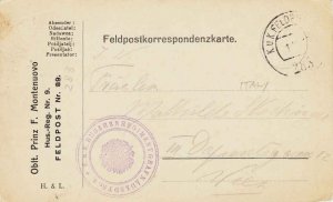 Austria Soldier's Free Mail 1917 K.u.K. Feldpostamt 403 Feldpostcard to Weiss...