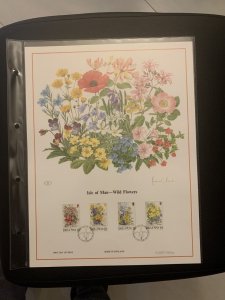 Isle of Man wild flowers  FDC panel big size with plastic holder