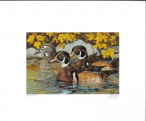 MINNESOTA #8 1984 STATE DUCK STAMP PRINT WOOD DUCKS by Thomas Gross 