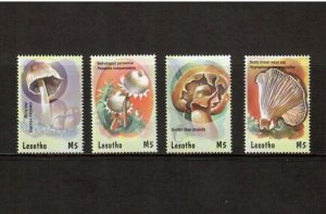 Lesotho 2001 - Mushrooms - Set of 4 Stamps - Scott #1282-5 - MNH