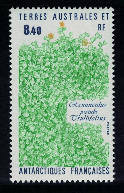 FSAT TAAF Plant 'Ranunculus pseudo trullifolius' 1990 MNH SG#266 MI#266