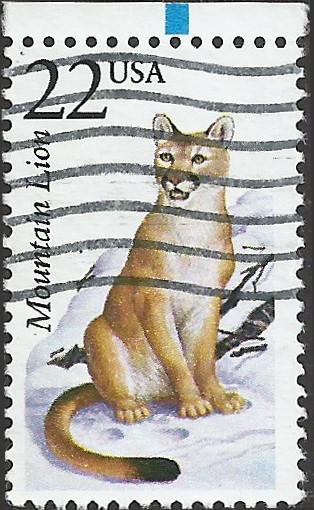 # 2292 USED MOUNTAIN LION