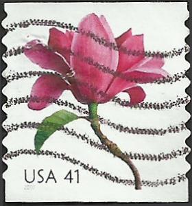 # 4168 USED MAGNOLIA