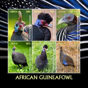 Liberia 2018 - African Guineafowl Birds - Sheet of 6 Stamps - Scott #3283 - MNH