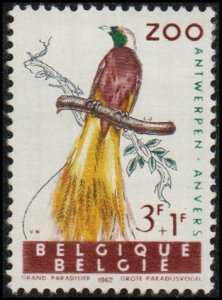 Belgium B716 -Mint-NH -3f+1f Paradise Bird of New Guinea (1962) (cv $1.40)