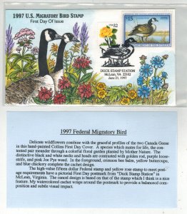 COLLINS 1997 HANDPAINTED $15 FEDERAL DUCK STAMP RW64 CANADA GOOSE & TEXT SHEET