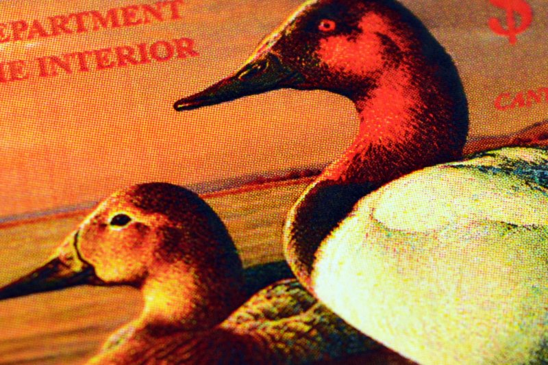 COLOR PRINTED USA FEDERAL DUCK 1934-2020 STAMP ALBUM PAGES (46 illustr. pages)