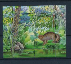 [39941] Moldova 2006 Wild Animals Mammals Wild cat MNH Sheet