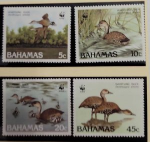 O) 1988 BAHAMAS, BIRDS. WWF - WORLD WILDLIFE FUND, WISTLING DUCKS, DENDROCYGNA A