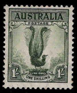 AUSTRALIA  Scott 175a  MH*  perf 13.5x14 Lyrebird stamp CV $27.50
