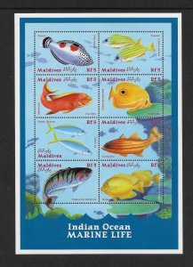 FISH - MALDIVES #2484  INDIAN OCEAN MARINE LIFE  MNH