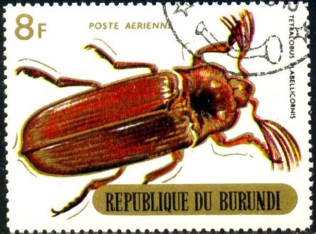 Insect, Beetle, Burundi stamp SC#C111 used