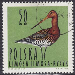 Poland 1233 Black-Tailed Godwit 50GR 1964